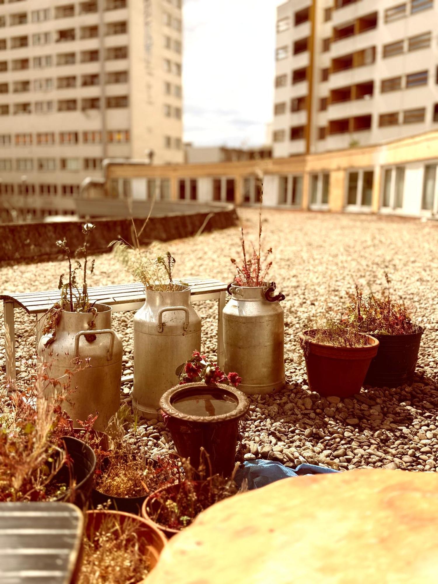 Comebackpackers Berlin Exterior foto